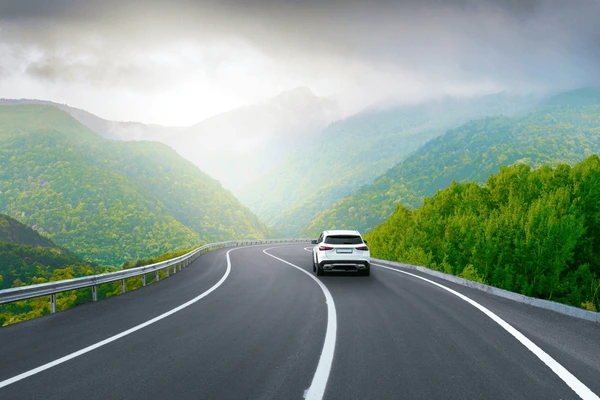 Domestic Travel Agents — Tanu Manu Tour N Travels